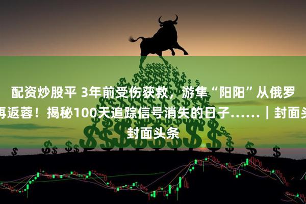 配资炒股平 3年前受伤获救，游隼“阳阳”从俄罗斯再返蓉！揭秘100天追踪信号消失的日子……｜封面头条