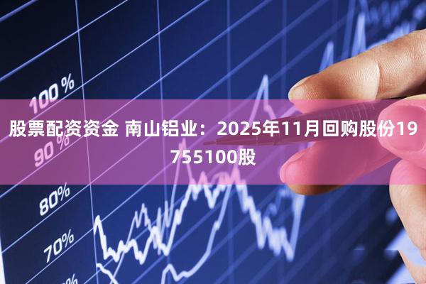 股票配资资金 南山铝业：2025年11月回购股份19755100股