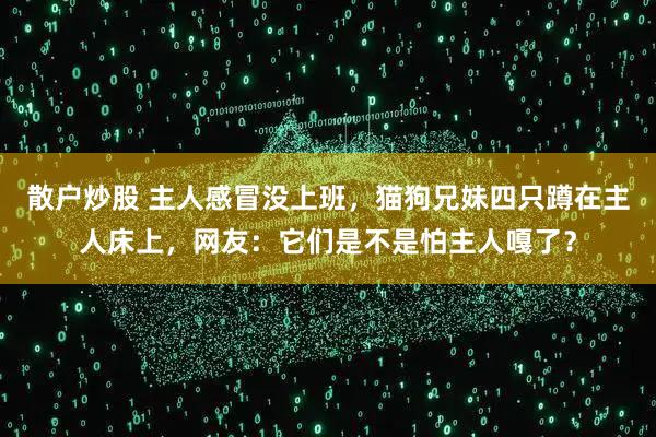 散户炒股 主人感冒没上班，猫狗兄妹四只蹲在主人床上，网友：它们是不是怕主人嘎了？